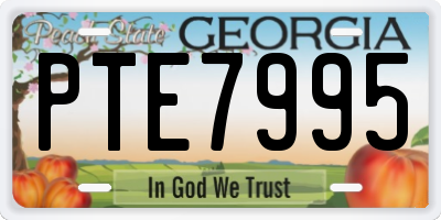 GA license plate PTE7995