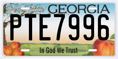 GA license plate PTE7996