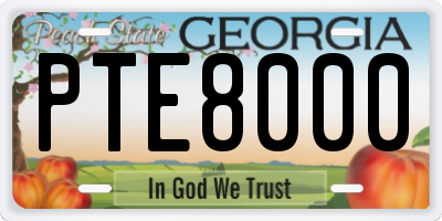 GA license plate PTE8000