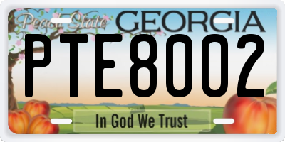 GA license plate PTE8002