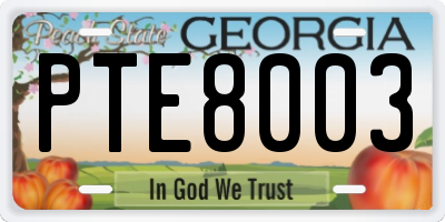 GA license plate PTE8003