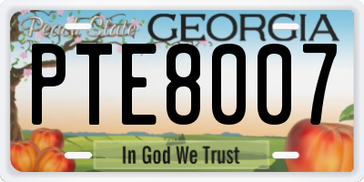 GA license plate PTE8007