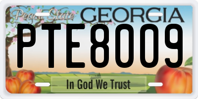 GA license plate PTE8009