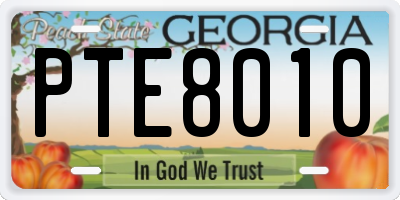 GA license plate PTE8010