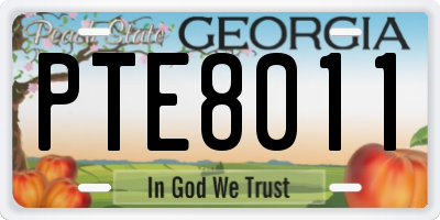 GA license plate PTE8011