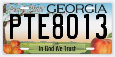 GA license plate PTE8013