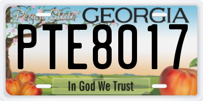 GA license plate PTE8017