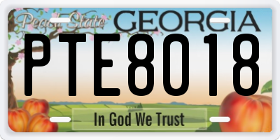 GA license plate PTE8018