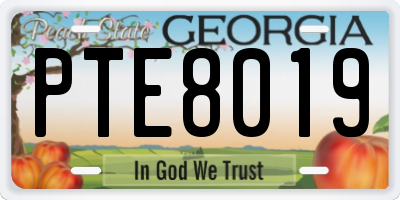 GA license plate PTE8019