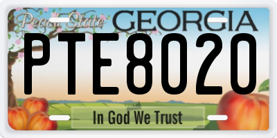 GA license plate PTE8020
