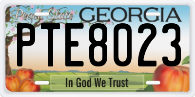 GA license plate PTE8023