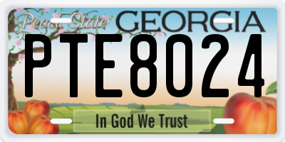 GA license plate PTE8024