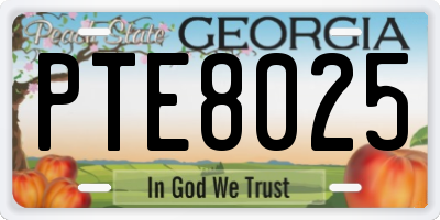 GA license plate PTE8025