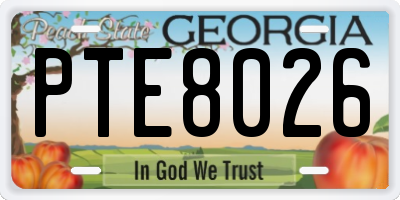 GA license plate PTE8026