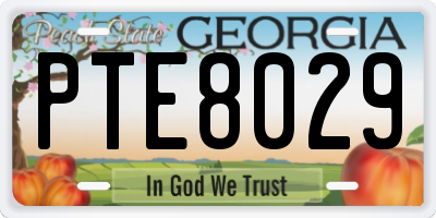 GA license plate PTE8029