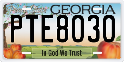 GA license plate PTE8030