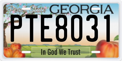 GA license plate PTE8031