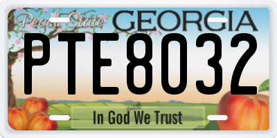 GA license plate PTE8032