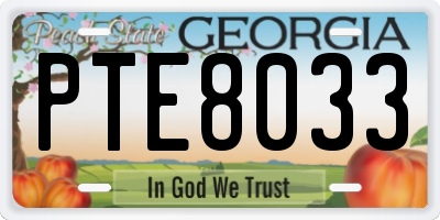 GA license plate PTE8033