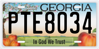 GA license plate PTE8034