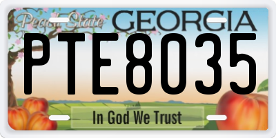 GA license plate PTE8035