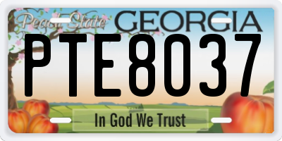 GA license plate PTE8037