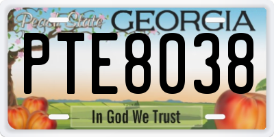 GA license plate PTE8038