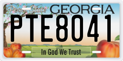 GA license plate PTE8041