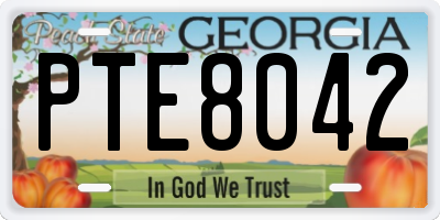 GA license plate PTE8042