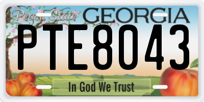 GA license plate PTE8043