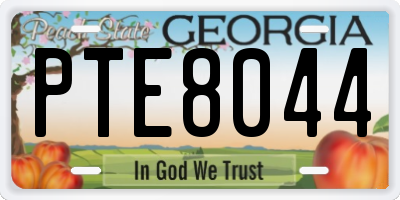 GA license plate PTE8044