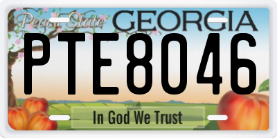 GA license plate PTE8046