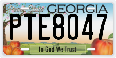 GA license plate PTE8047
