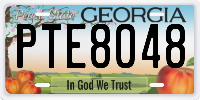 GA license plate PTE8048