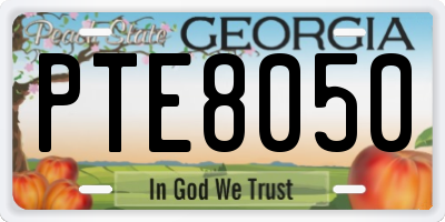 GA license plate PTE8050
