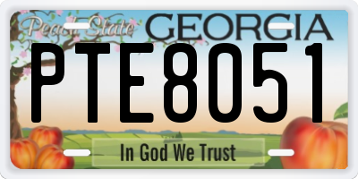 GA license plate PTE8051