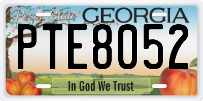 GA license plate PTE8052