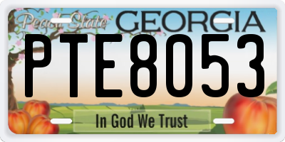 GA license plate PTE8053