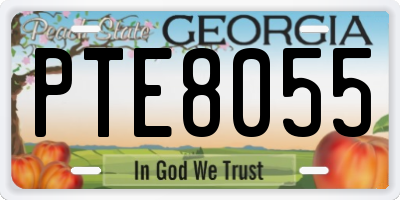 GA license plate PTE8055