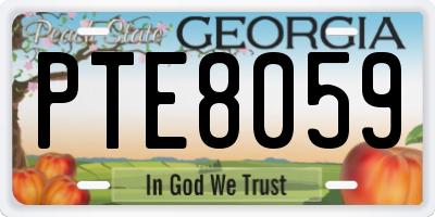 GA license plate PTE8059
