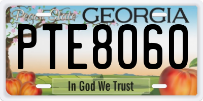 GA license plate PTE8060