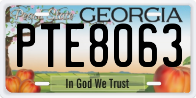 GA license plate PTE8063
