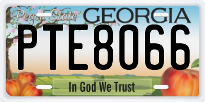 GA license plate PTE8066