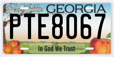 GA license plate PTE8067