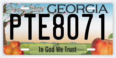 GA license plate PTE8071