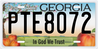 GA license plate PTE8072