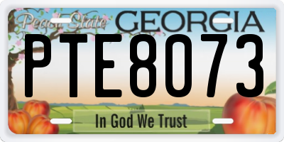 GA license plate PTE8073