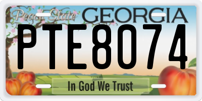 GA license plate PTE8074