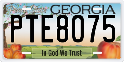 GA license plate PTE8075