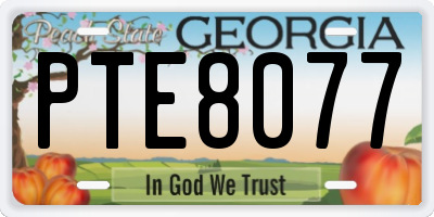 GA license plate PTE8077